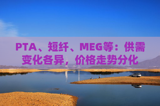 PTA、短纤、MEG等:供需变化各异,价格走势分化  第1张 PTA、短纤、MEG等:供需变化各异,价格走势分化  第1张