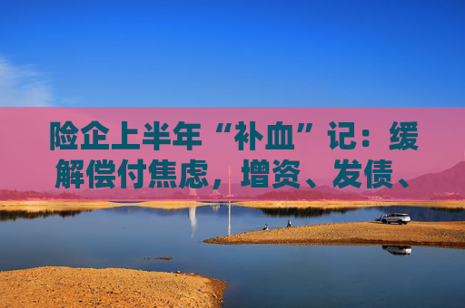 险企上半年“补血”记:缓解偿付焦虑,增资、发债、配股三管齐下!