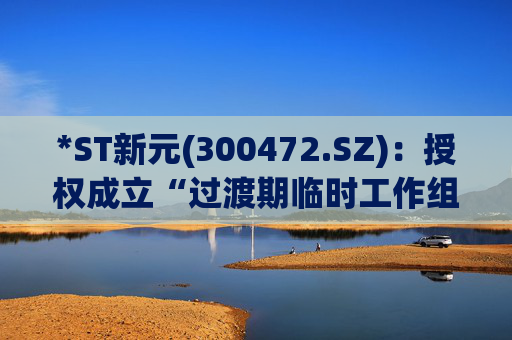 *ST新元(300472.SZ)：授权成立“过渡期临时工作组”