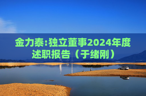 金力泰:独立董事2024年度述职报告（于绪刚）