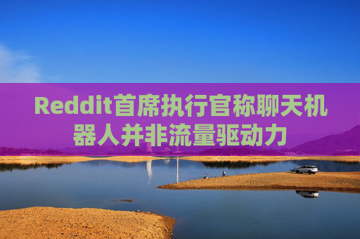 Reddit首席执行官称聊天机器人并非流量驱动力