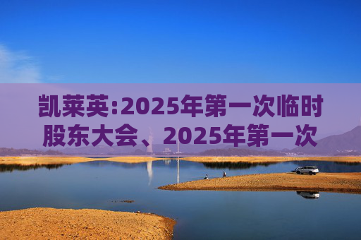 凯莱英:2025年第一次临时股东大会、2025年第一次A股类别股东大会及2025年第一次H股类别股东大会决议公告