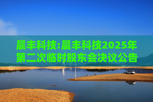 晨丰科技:晨丰科技2025年第二次临时股东会决议公告