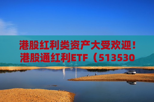 港股红利类资产大受欢迎!港股通红利ETF(513530)连续41个交易日获净流入  第1张 港股红利类资产大受欢迎!港股通红利ETF(513530)连续41个交易日获净流入  第1张