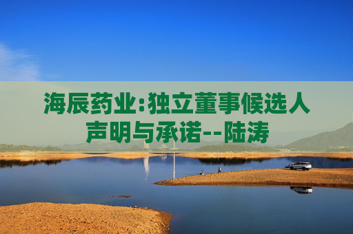 海辰药业:独立董事候选人声明与承诺--陆涛