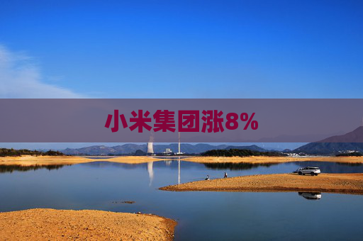 小米集团涨8%