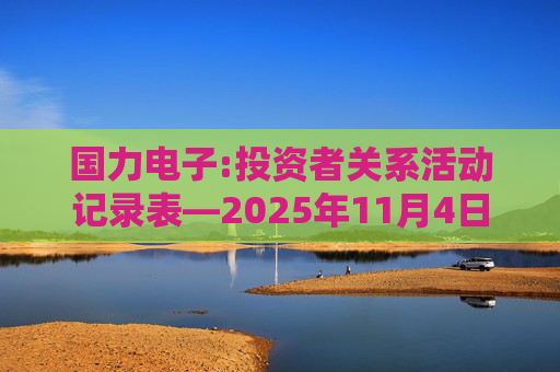 国力电子:投资者关系活动记录表―2025年11月4日