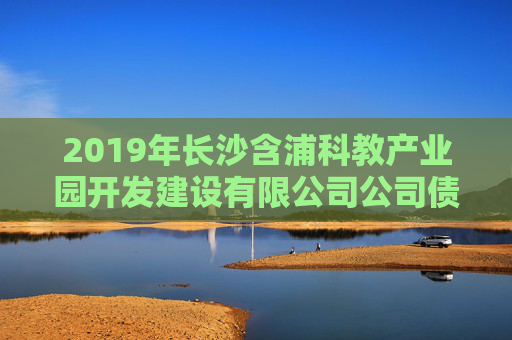 2019年长沙含浦科教产业园开发建设有限公司公司债券（品种一）2025年付息公告