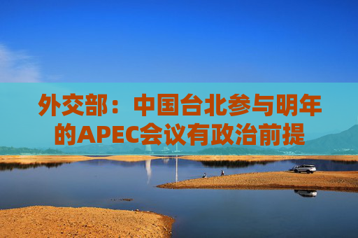 外交部：中国台北参与明年的APEC会议有政治前提