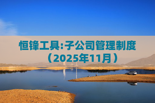 恒锋工具:子公司管理制度（2025年11月）