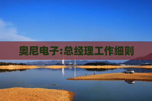 奥尼电子:总经理工作细则