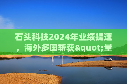 石头科技2024年业绩提速，海外多国斩获"量额"双料第一