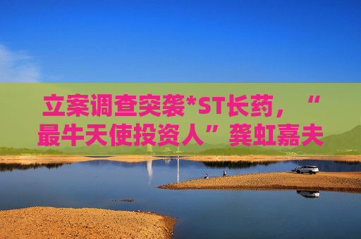 立案调查突袭*ST长药，“最牛天使投资人”龚虹嘉夫妇5.93亿元投资再临挑战