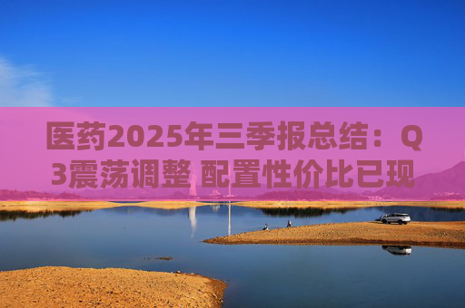 医药2025年三季报总结：Q3震荡调整 配置性价比已现