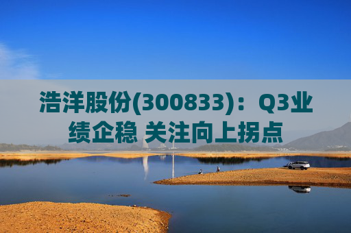 浩洋股份(300833)：Q3业绩企稳 关注向上拐点