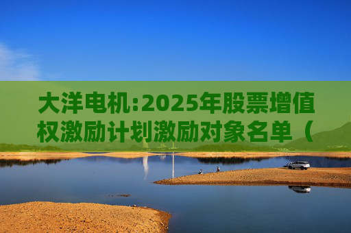 大洋电机:2025年股票增值权激励计划激励对象名单（调整后）