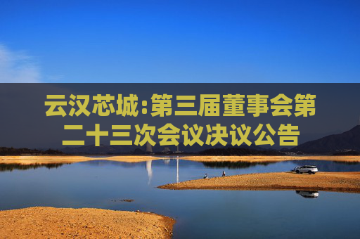 云汉芯城:第三届董事会第二十三次会议决议公告