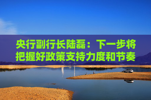央行副行长陆磊：下一步将把握好政策支持力度和节奏，抓好各项货币政策工具的实施和执行