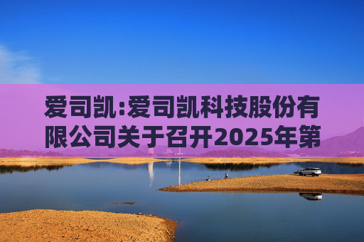 爱司凯:爱司凯科技股份有限公司关于召开2025年第一次临时股东大会的通知