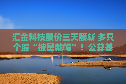 汇金科技股价三天腰斩 多只个股“披星戴帽”！公募基金如何“避雷”？