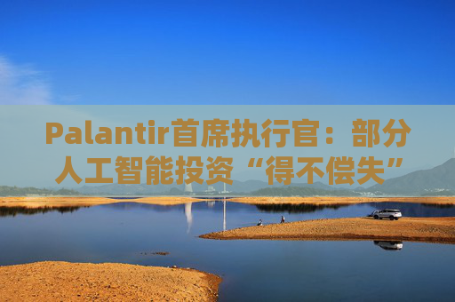 Palantir首席执行官：部分人工智能投资“得不偿失”