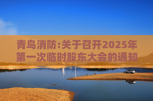 青鸟消防:关于召开2025年第一次临时股东大会的通知