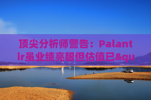 顶尖分析师警告：Palantir虽业绩亮眼但估值已"趋于完美"