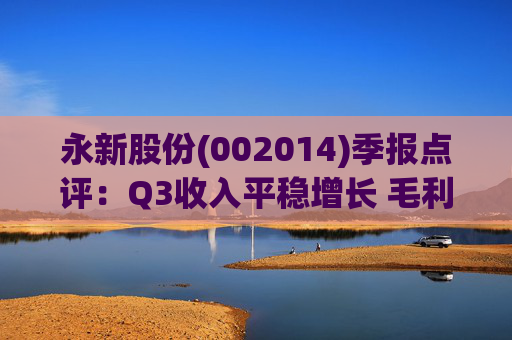 永新股份(002014)季报点评:Q3收入平稳增长 毛利率企稳回升 第1张 永新股份(002014)季报点评:Q3收入平稳增长 毛利率企稳回升 第1张