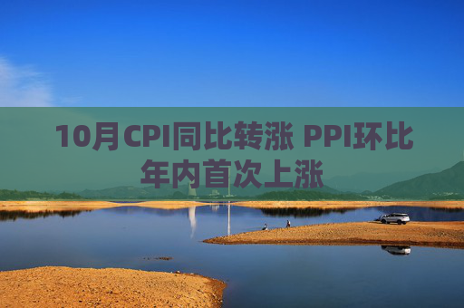 10月CPI同比转涨 PPI环比年内首次上涨
