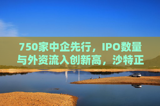 750家中企先行，IPO数量与外资流入创新高，沙特正成为中国资本新绿洲
