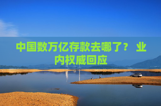 中国数万亿存款去哪了？ 业内权威回应