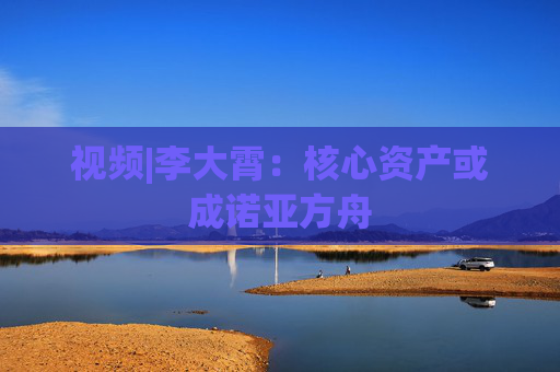 视频|李大霄:核心资产或成诺亚方舟