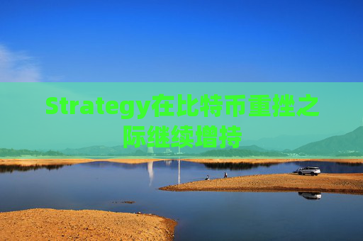 Strategy在比特币重挫之际继续增持