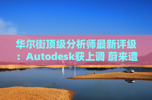 华尔街顶级分析师最新评级：Autodesk获上调 蔚来遭下调