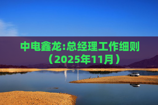 中电鑫龙:总经理工作细则（2025年11月）
