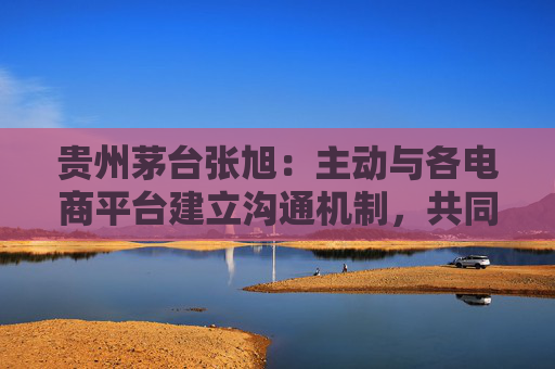 贵州茅台张旭：主动与各电商平台建立沟通机制，共同维护市场秩序