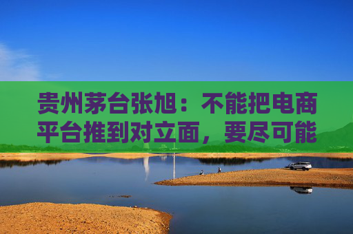 贵州茅台张旭：不能把电商平台推到对立面，要尽可能地维护好与电商之间的关系