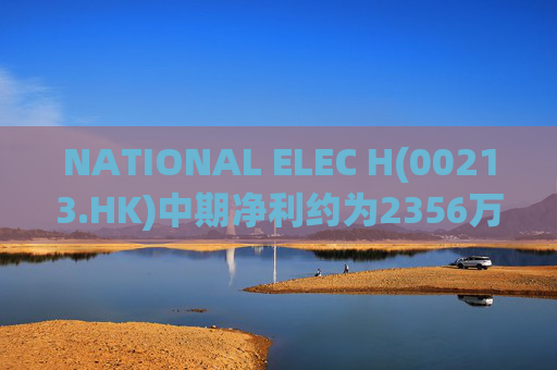 NATIONAL ELEC H(00213.HK)中期净利约为2356万港元 同比增长约10.40%  第1张