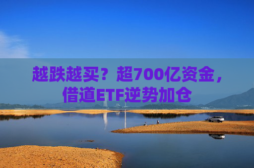 越跌越买？超700亿资金，借道ETF逆势加仓