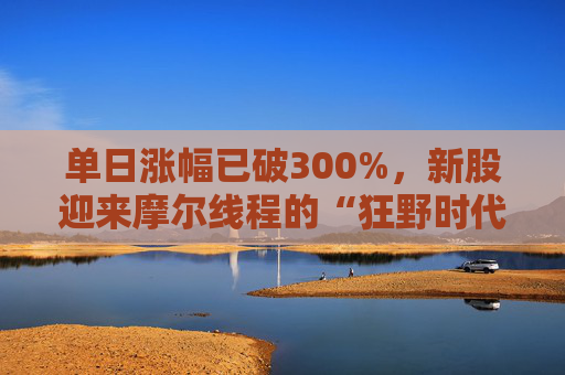 单日涨幅已破300%，新股迎来摩尔线程的“狂野时代”？  第1张