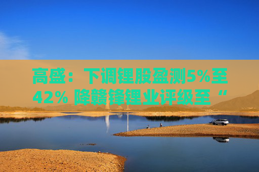高盛：下调锂股盈测5%至42% 降赣锋锂业评级至“沽售”