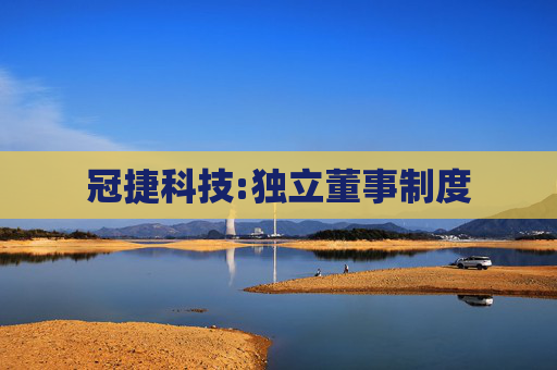 冠捷科技:独立董事制度  第1张