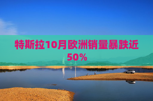 特斯拉10月欧洲销量暴跌近50%