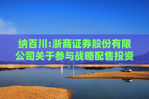 纳百川:浙商证券股份有限公司关于参与战略配售投资者的专项核查报告