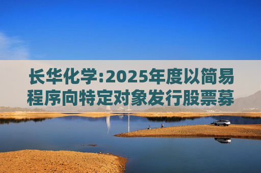 长华化学:2025年度以简易程序向特定对象发行股票募集说明书（申报稿）  第1张