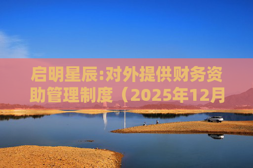 启明星辰:对外提供财务资助管理制度（2025年12月）