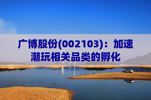 广博股份(002103)：加速潮玩相关品类的孵化