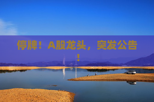 停牌！A股龙头，突发公告！
