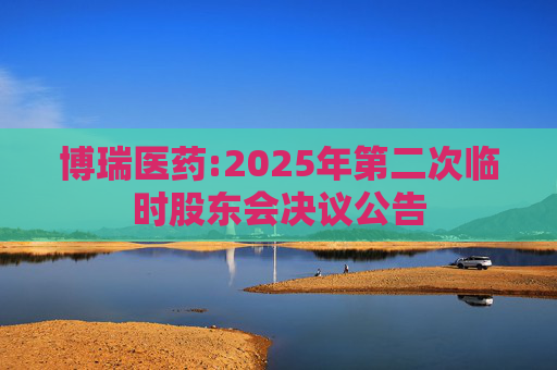 博瑞医药:2025年第二次临时股东会决议公告