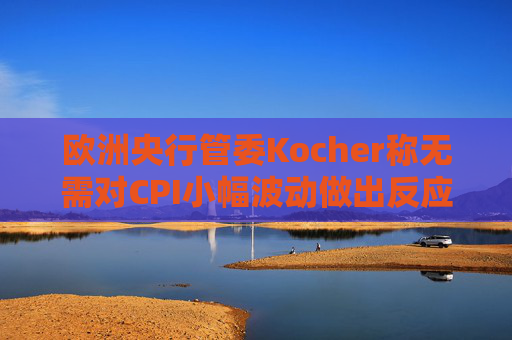 欧洲央行管委Kocher称无需对CPI小幅波动做出反应